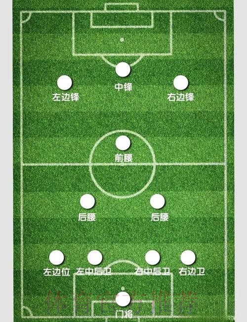 全面解析世界杯外围赛策略与技巧